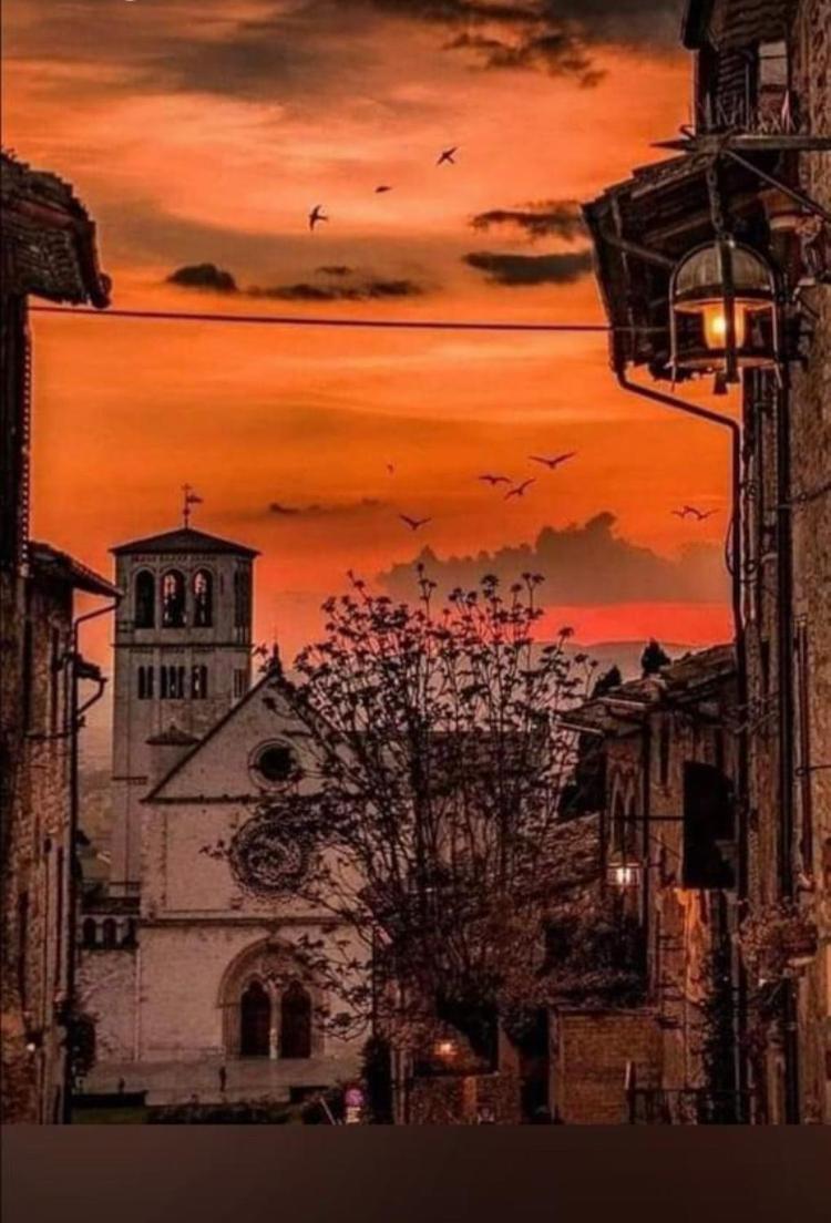 LE DIMORE ARCANGELO Maria Assis Exterior foto